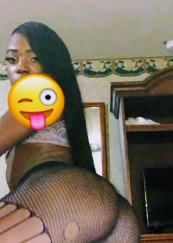 6784876388, transgender escort, Augusta