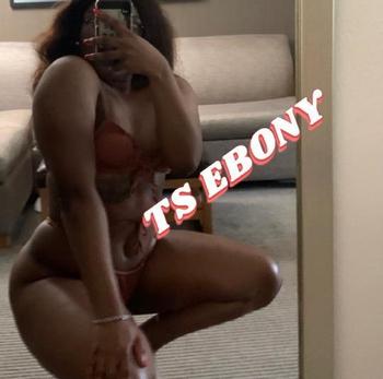 9016764541, transgender escort, Augusta